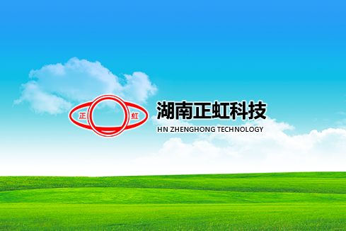 临安建站-湖南正虹科技