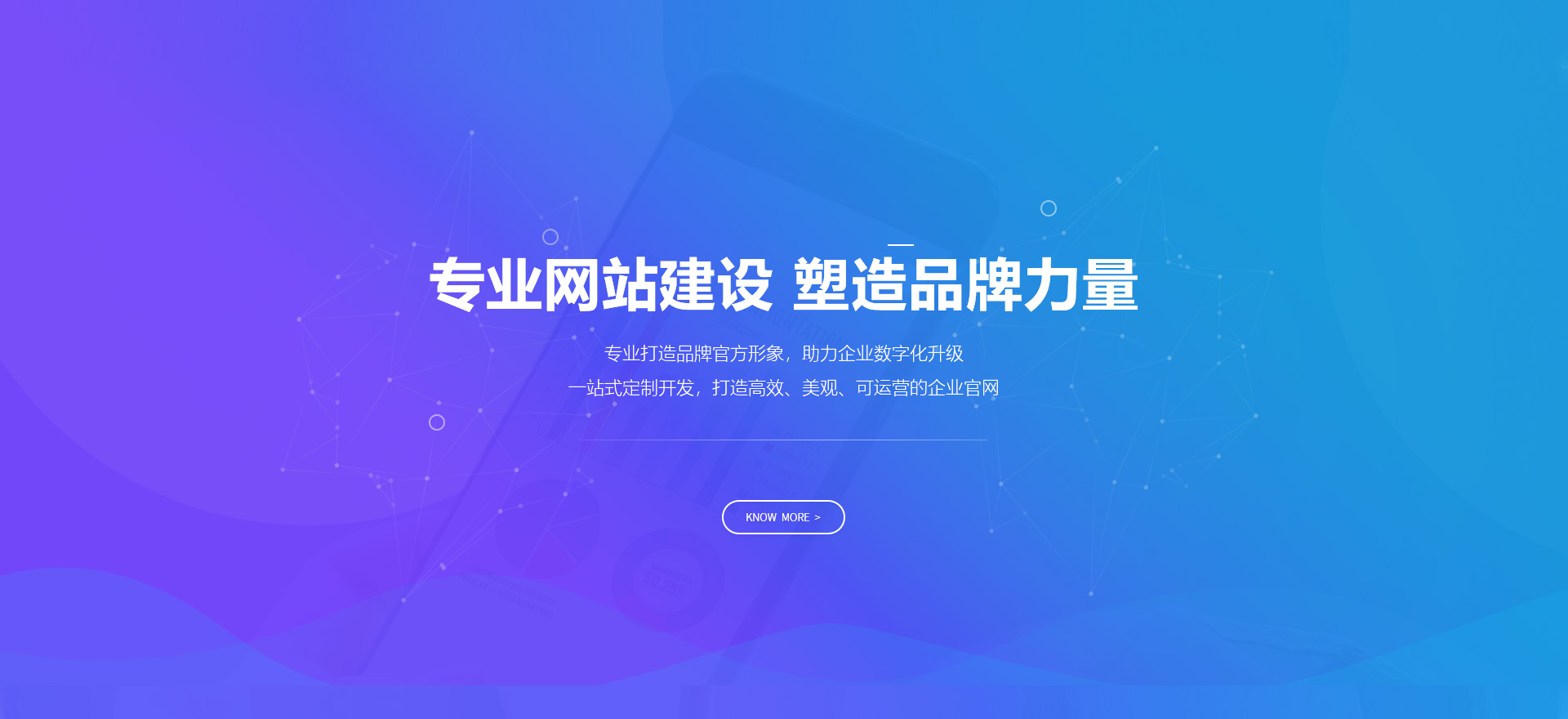 杭州建站-专业网站建设 塑造品牌力量