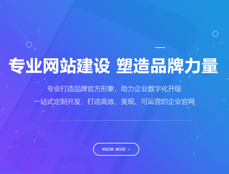 杭州建站-专业网站建设 塑造品牌力量